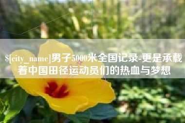 微山男子5000米全国记录-更是承载着中国田径运动员们的热血与梦想