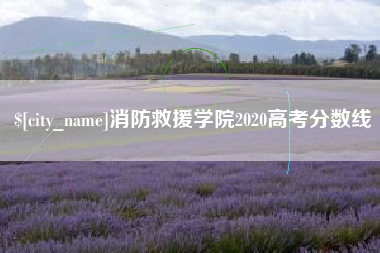 微山消防救援学院2020高考分数线