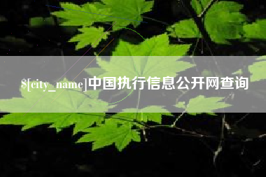 微山中国执行信息公开网查询