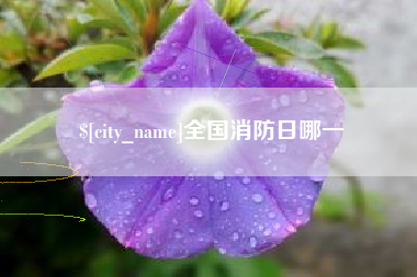 微山全国消防日哪一