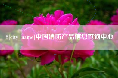 微山中国消防产品信息查询中心