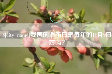 微山我国的消防日是每年的11月9日对吗？
