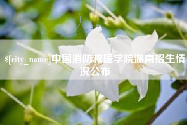 微山中国消防救援学院湖南招生情况公布