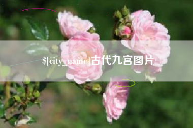 微山古代九宫图片
