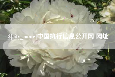 微山中国执行信息公开网 网址