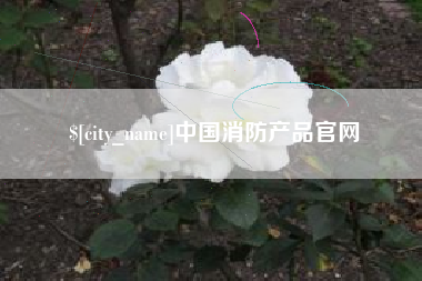 微山中国消防产品官网