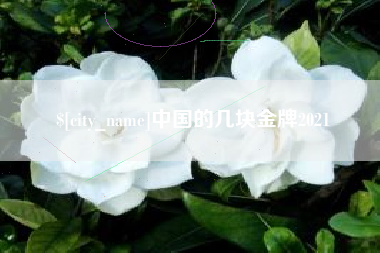 微山中国的几块金牌2021