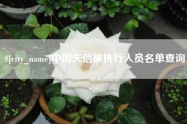 微山中国失信被执行人员名单查询