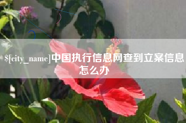 微山中国执行信息网查到立案信息怎么办