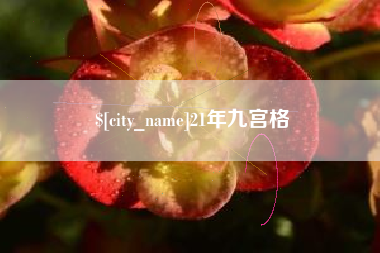 微山21年九宫格