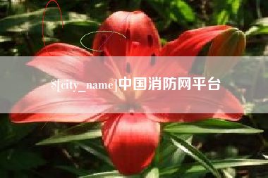 微山中国消防网平台