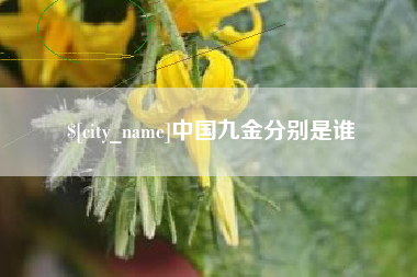 微山中国九金分别是谁