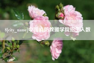 微山中国消防救援学院招生人数