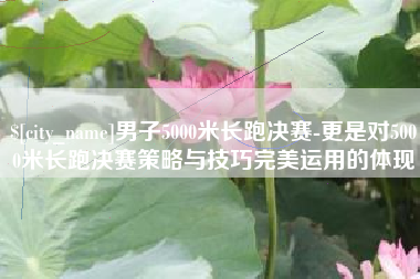 微山男子5000米长跑决赛-更是对5000米长跑决赛策略与技巧完美运用的体现