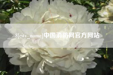 微山中国消防网官方网站