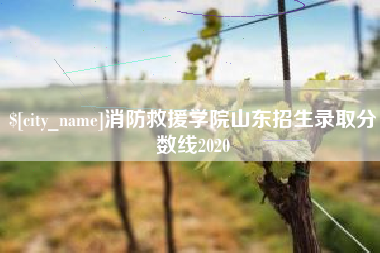 微山消防救援学院山东招生录取分数线2020