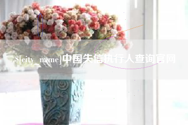 微山中国失信执行人查询官网