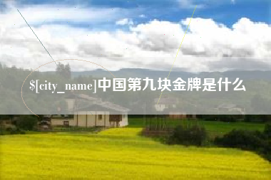 微山中国第九块金牌是什么