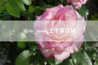 微山王子豪百科