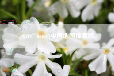 微山中国地图像素版