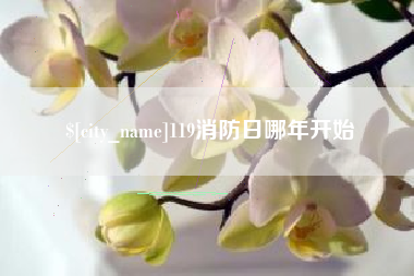 微山119消防日哪年开始