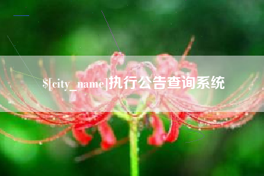 微山执行公告查询系统