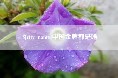 微山中国金牌都是啥