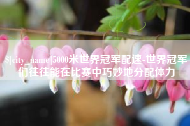 微山5000米世界冠军配速-世界冠军们往往能在比赛中巧妙地分配体力