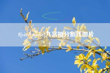 微山九宫图分割线图片