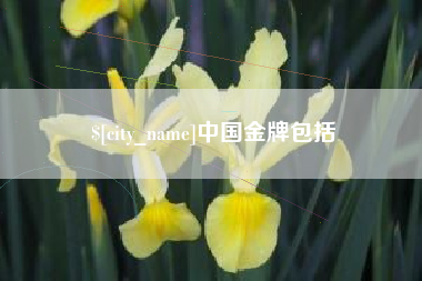 微山中国金牌包括