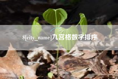 微山九宫格数字排序