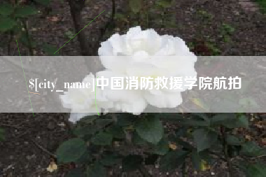 微山中国消防救援学院航拍