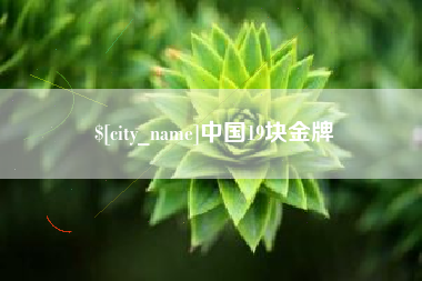 微山中国19块金牌