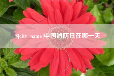 微山中国消防日在哪一天
