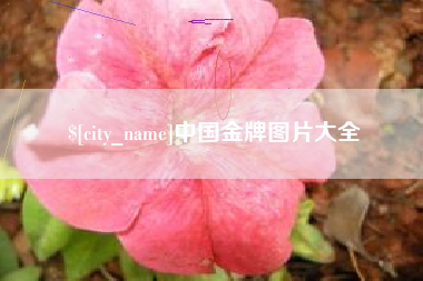 微山中国金牌图片大全