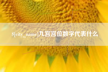 微山九宫宫位数字代表什么