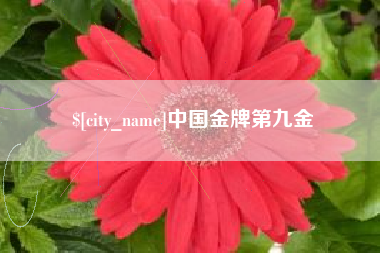 微山中国金牌第九金