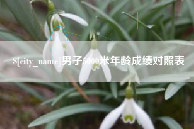 微山男子5000米年龄成绩对照表
