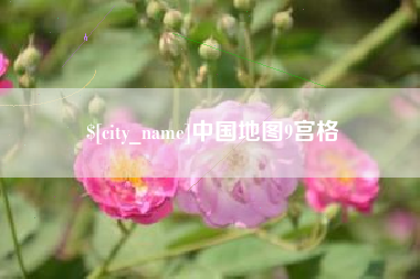 微山中国地图9宫格