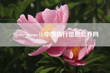 微山1.中国执行信息公开网