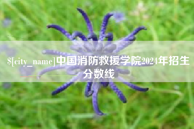 微山中国消防救援学院2024年招生分数线