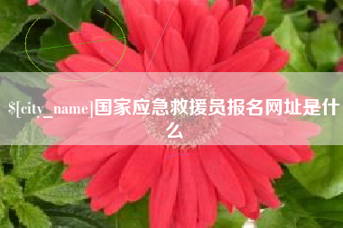 微山国家应急救援员报名网址是什么