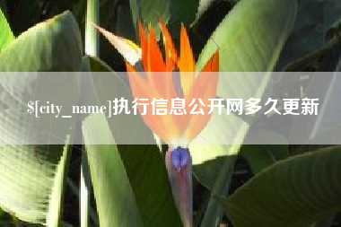 微山执行信息公开网多久更新