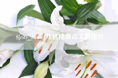 微山九宫格盘点工具图片