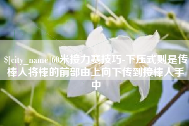 微山60米接力赛技巧-下压式则是传棒人将棒的前部由上向下传到接棒人手中