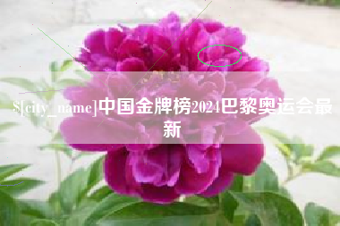 微山中国金牌榜2024巴黎奥运会最新