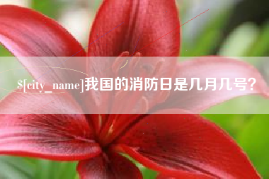 微山我国的消防日是几月几号？
