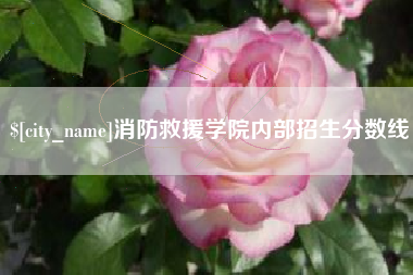 微山消防救援学院内部招生分数线