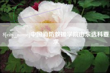微山中国消防救援学院山东选科要求