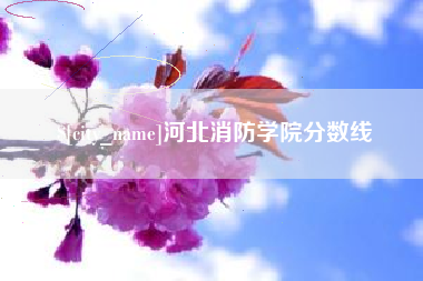 微山河北消防学院分数线